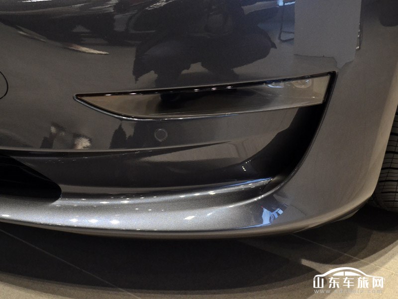 209款 特斯拉Model 3 其它