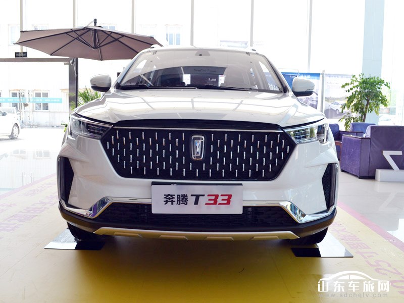 2019款 一汽奔腾T33 外观