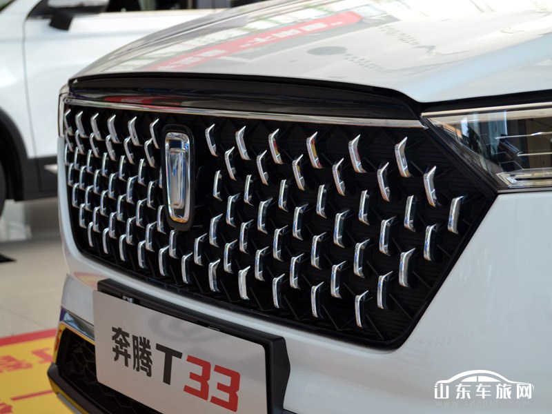 2019款 一汽奔腾T33 其它