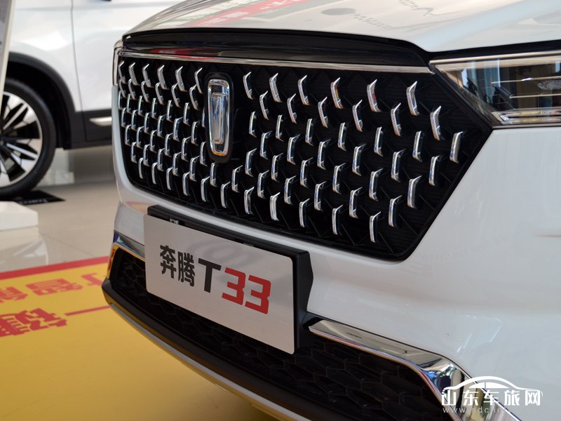 2019款 一汽奔腾T33 其它