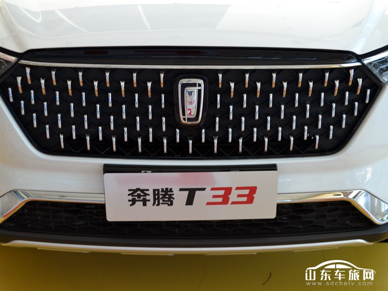 2019款 一汽奔腾T33 其它