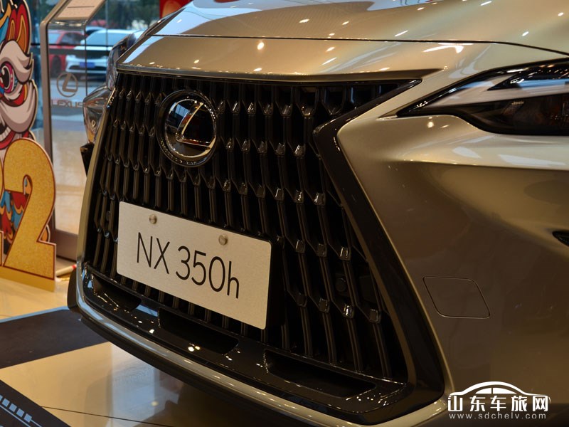 2022款 雷克萨斯NX 其它