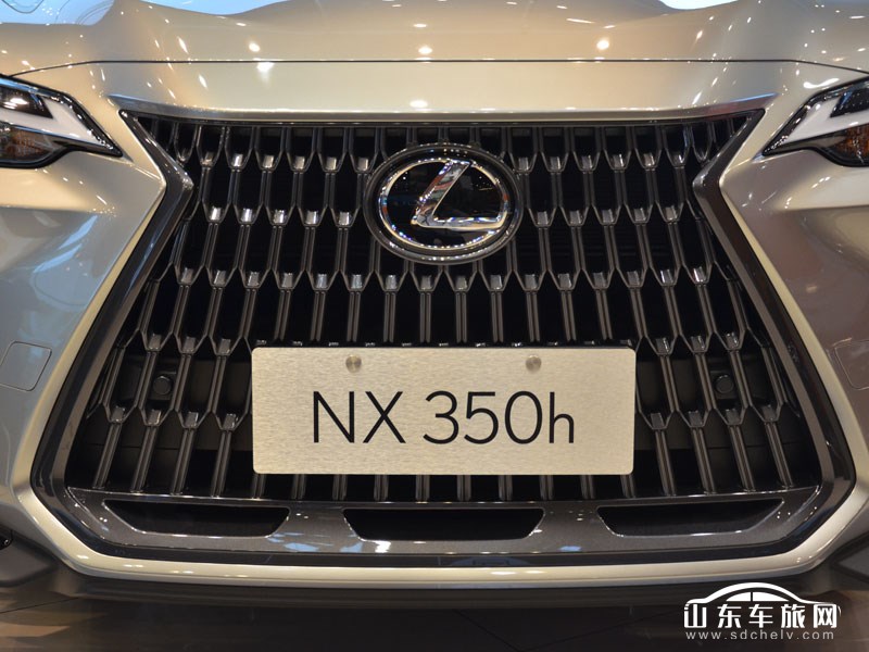 2022款 雷克萨斯NX 其它