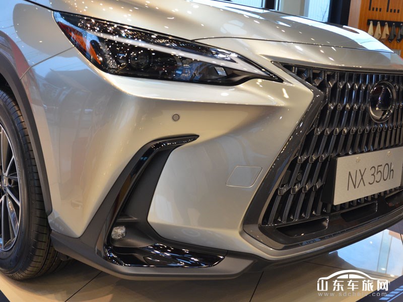 2022款 雷克萨斯NX 其它