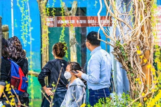 动物主题民宿已恢复开放，来济南野生动物世界开启春日之旅