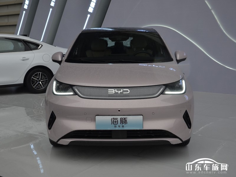 2025款 比亚迪海豚 外观