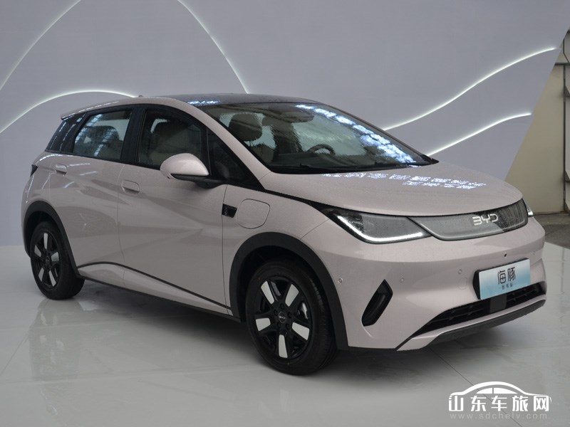 2025款 比亚迪海豚 外观