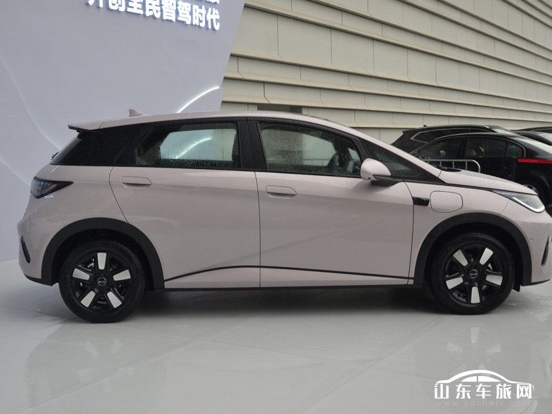 2025款 比亚迪海豚 外观