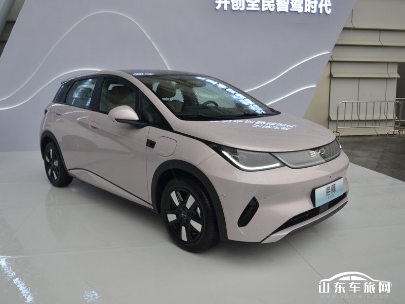 2025款 比亚迪海豚 外观