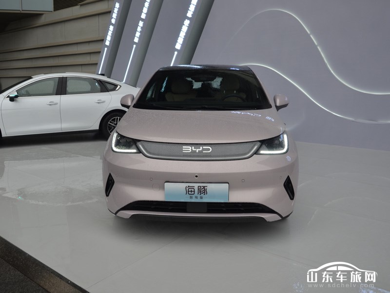 2025款 比亚迪海豚 外观