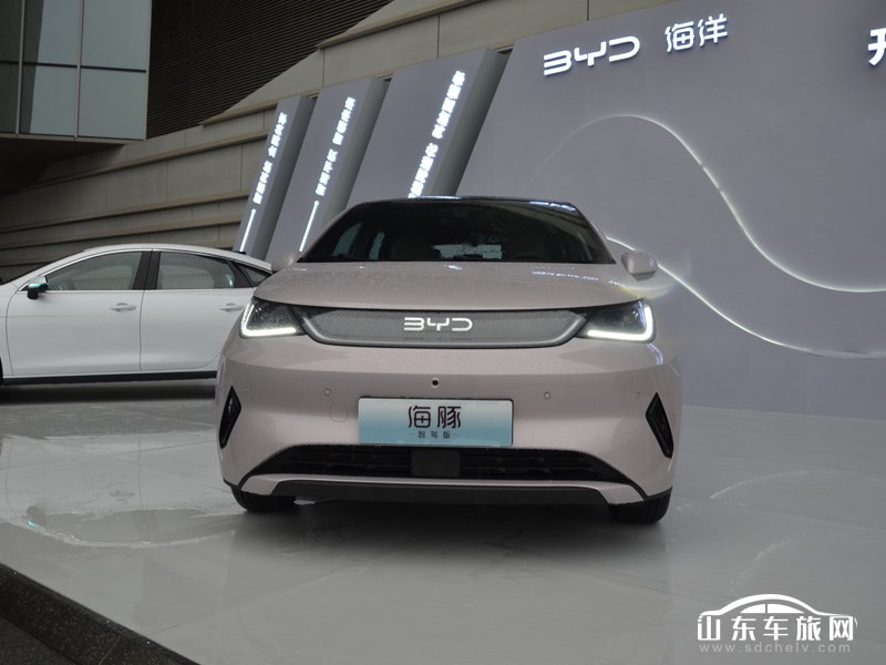 2025款 比亚迪海豚 外观
