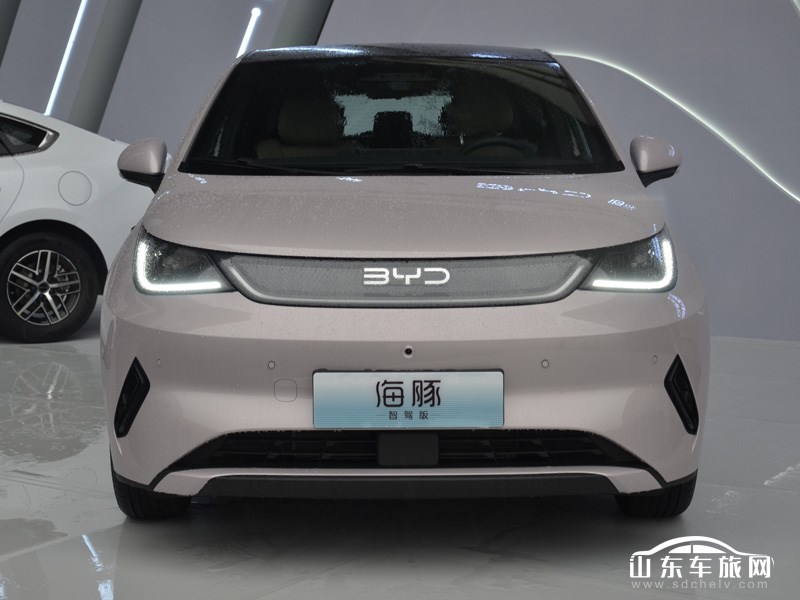 2025款 比亚迪海豚 外观