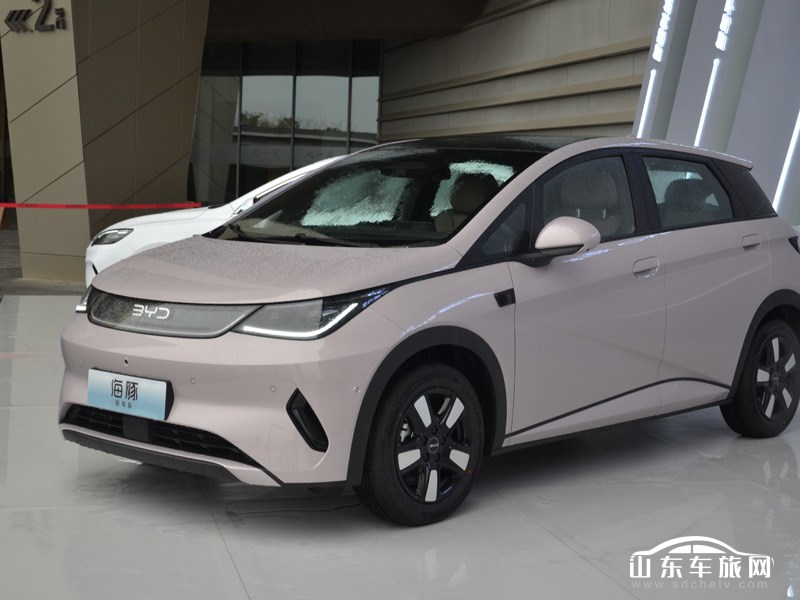 2025款 比亚迪海豚 外观