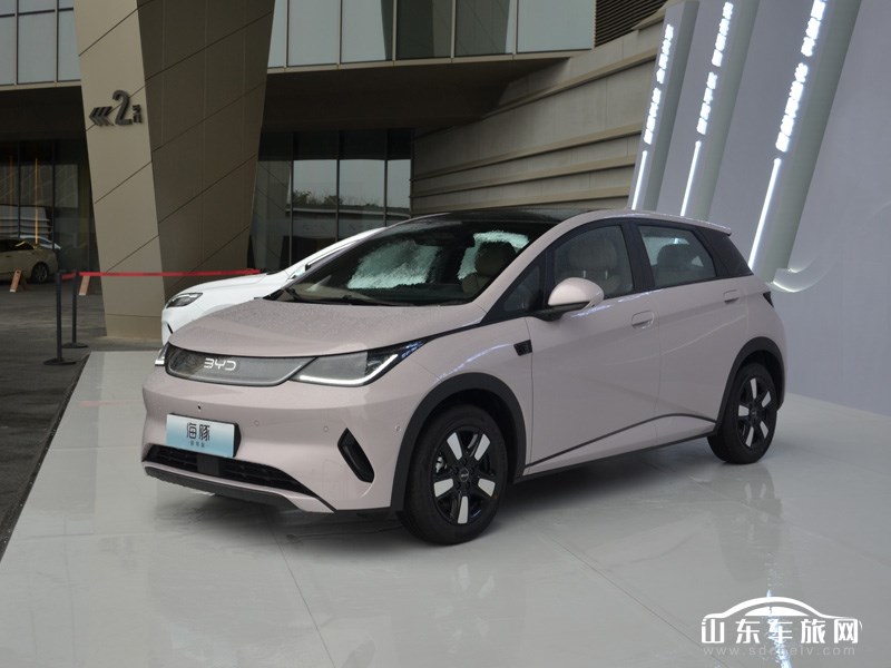 2025款 比亚迪海豚 外观