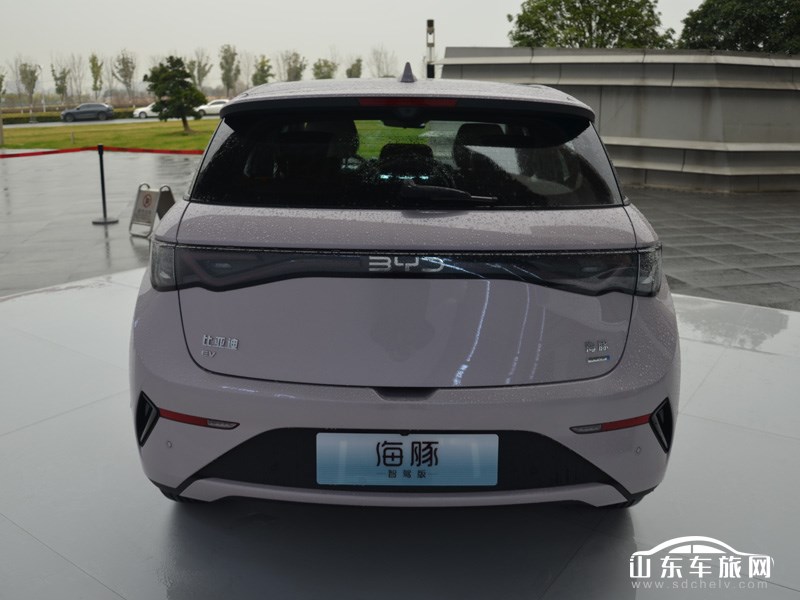 2025款 比亚迪海豚 外观