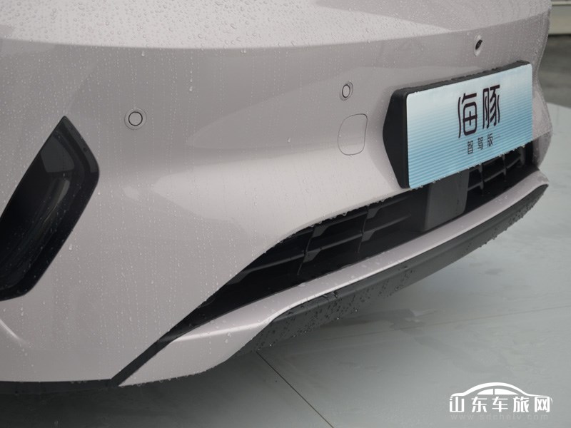 2025款 比亚迪海豚 其它