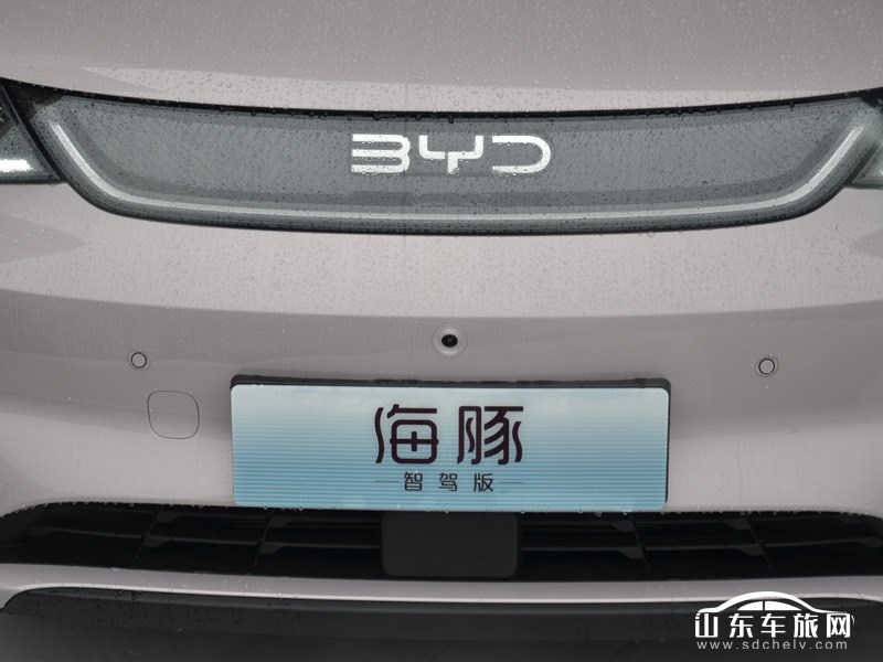 2025款 比亚迪海豚 其它
