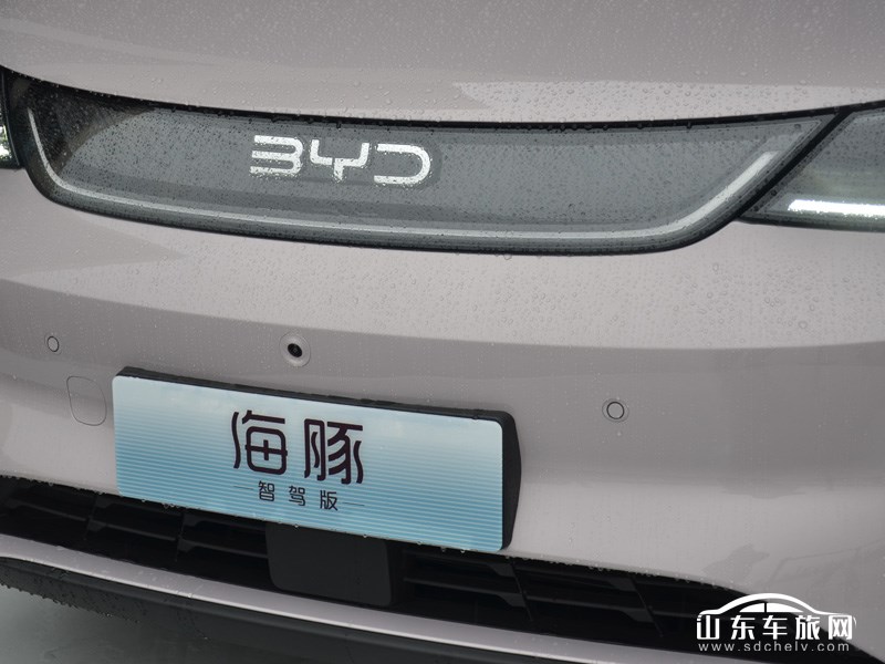 2025款 比亚迪海豚 其它