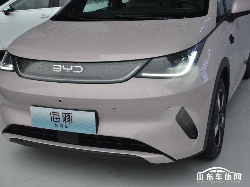 2025款 比亚迪海豚 其它