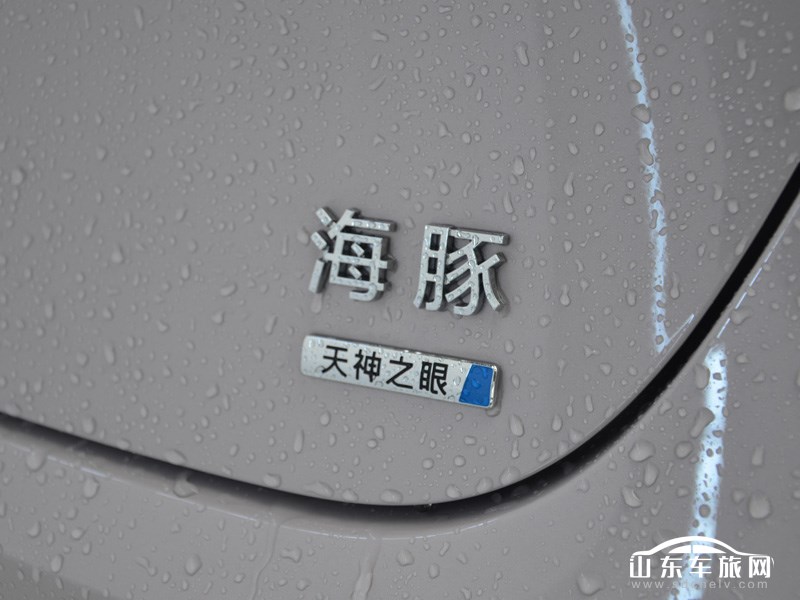 2025款 比亚迪海豚 其它