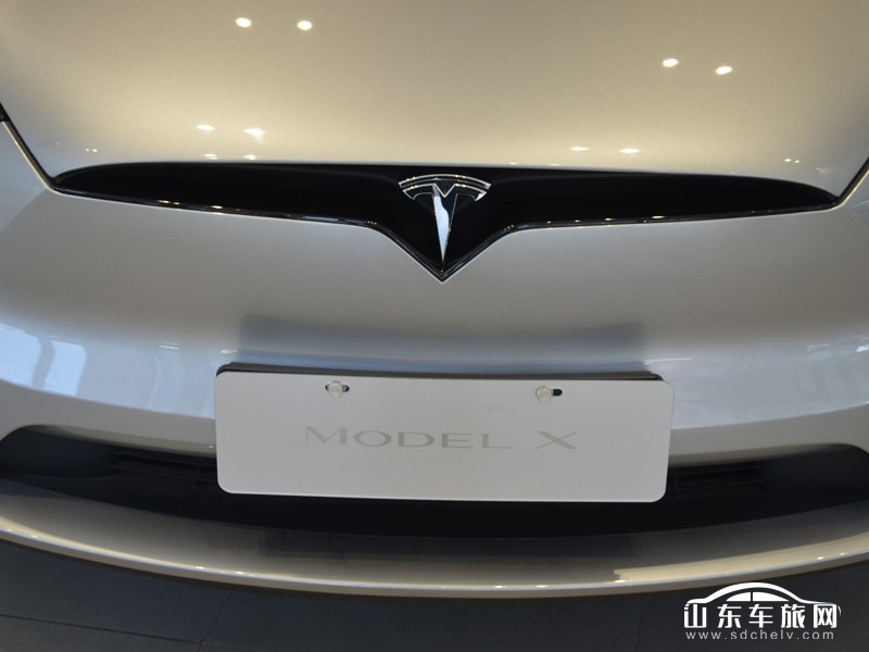 2025款 特斯拉Model X 其它